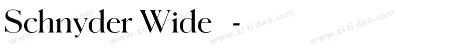 Schnyder Wide 字体字体转换